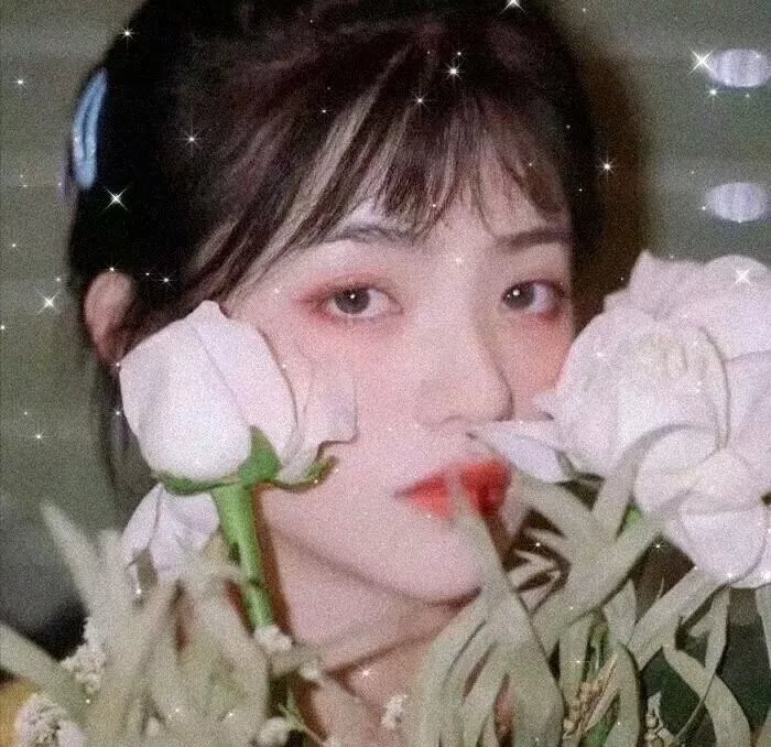 琼楼梦