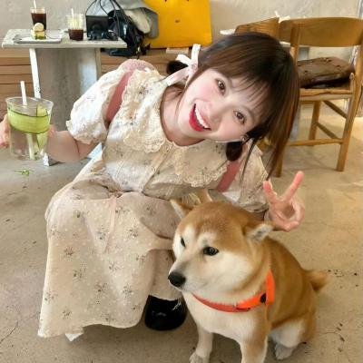 爱在猫咪疗愈时